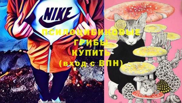 первитин Верхний Тагил