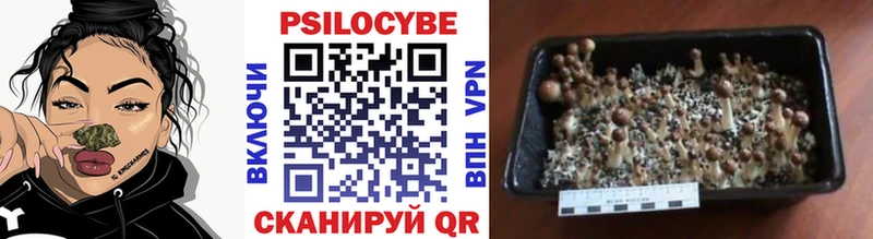 Галлюциногенные грибы Magic Shrooms  Северобайкальск 