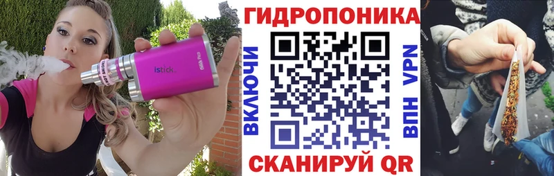 магазин продажи наркотиков  Северобайкальск  Конопля семена 